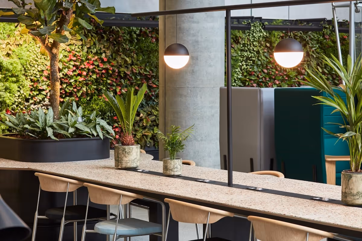 Interior of 88 Wood Street, with a living wall and variety of plants