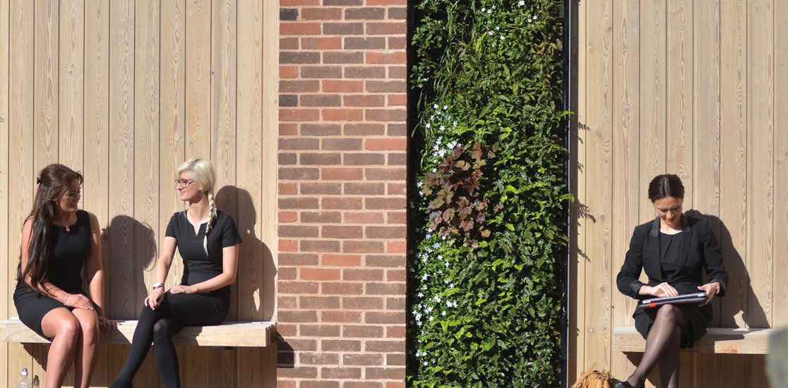 Living wall with people sat either side