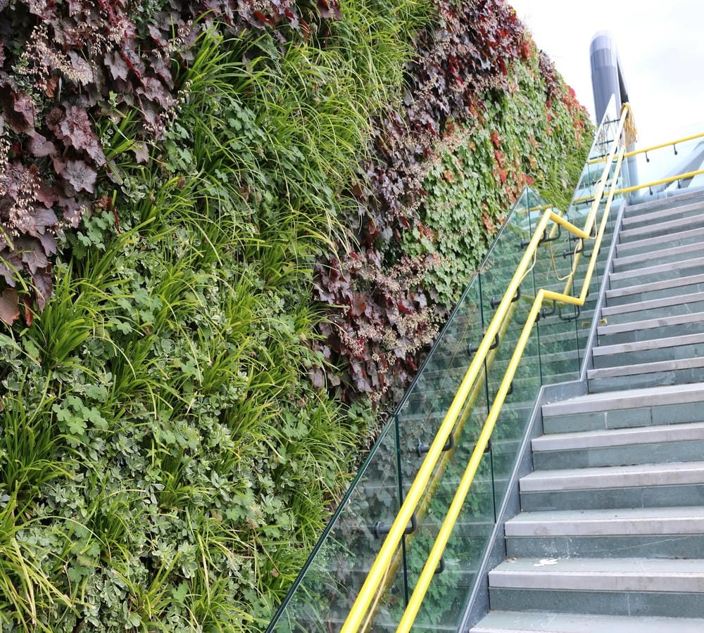 Deansgate Metrolink exterior stairs with a living wall running alongside