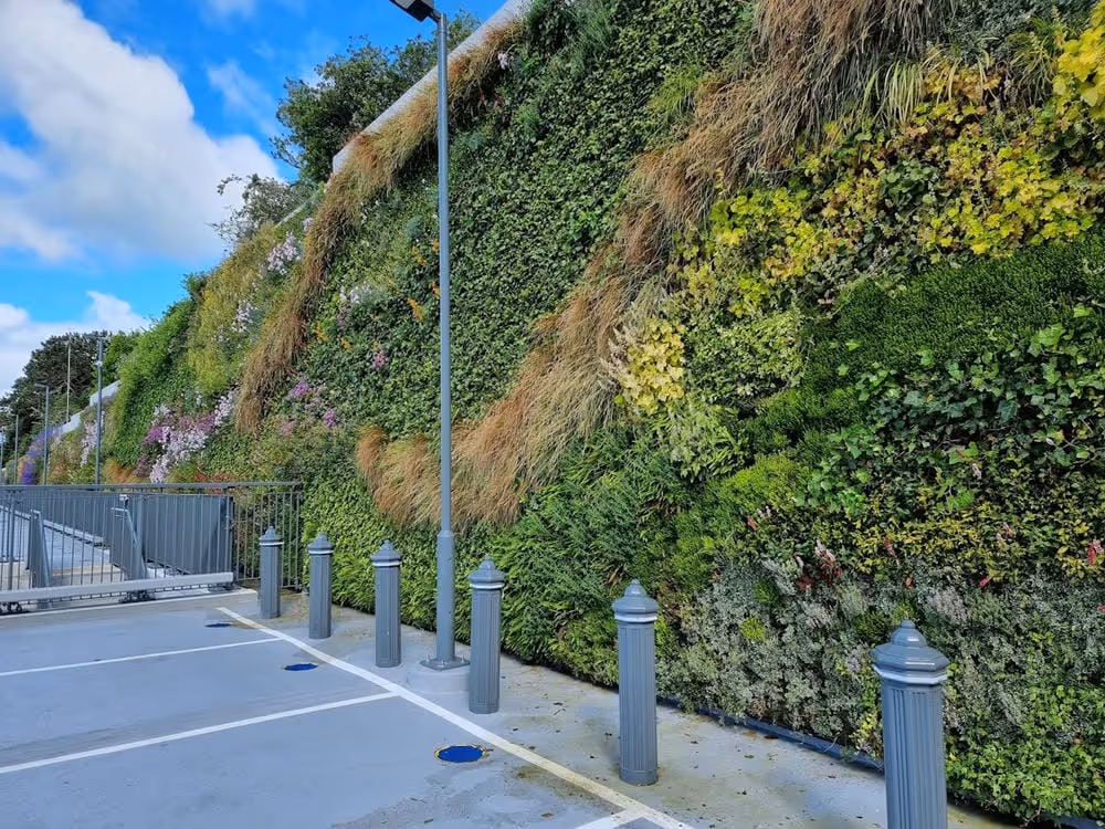 Close up of living wall in Kildare Village car park