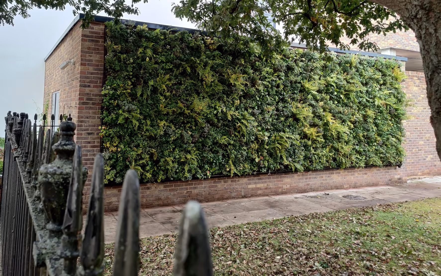 Exterior living wall on the side of Lidl Richmond