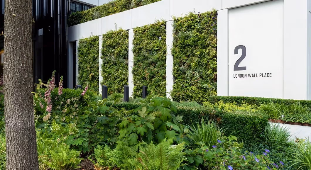 Viritopia helped transform London Wall Place with living walls that honour the site’s history, creating a green space in The City for all to enjoy.