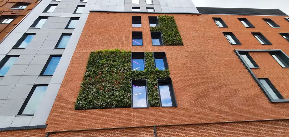 Over the three living walls, 6,240 plants are now thriving and growing, bringing benefits for the local environment and the community.