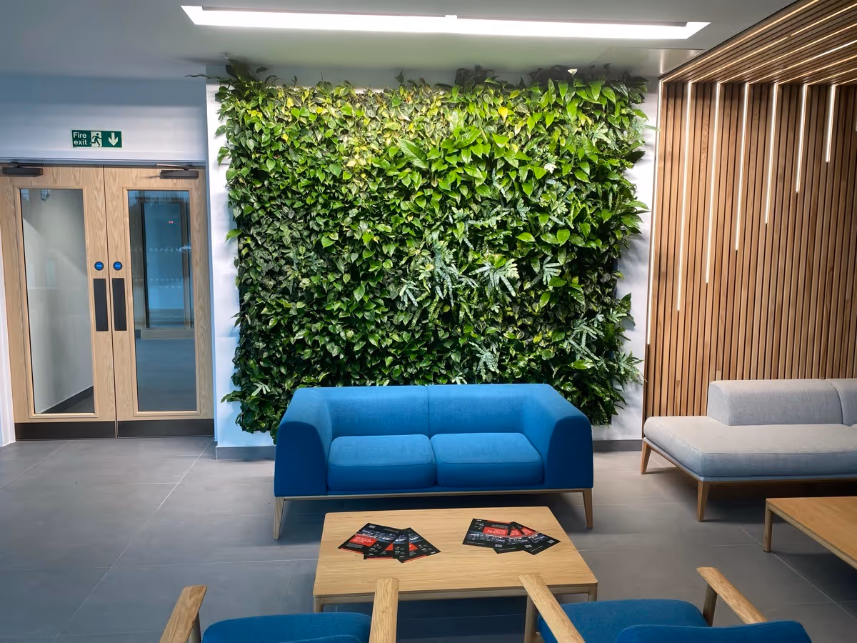 Small internal living wall in SEGRO V Park, with a sofa in front of it.