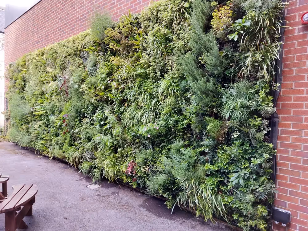 Close up of exterior living wall at The University of Hull