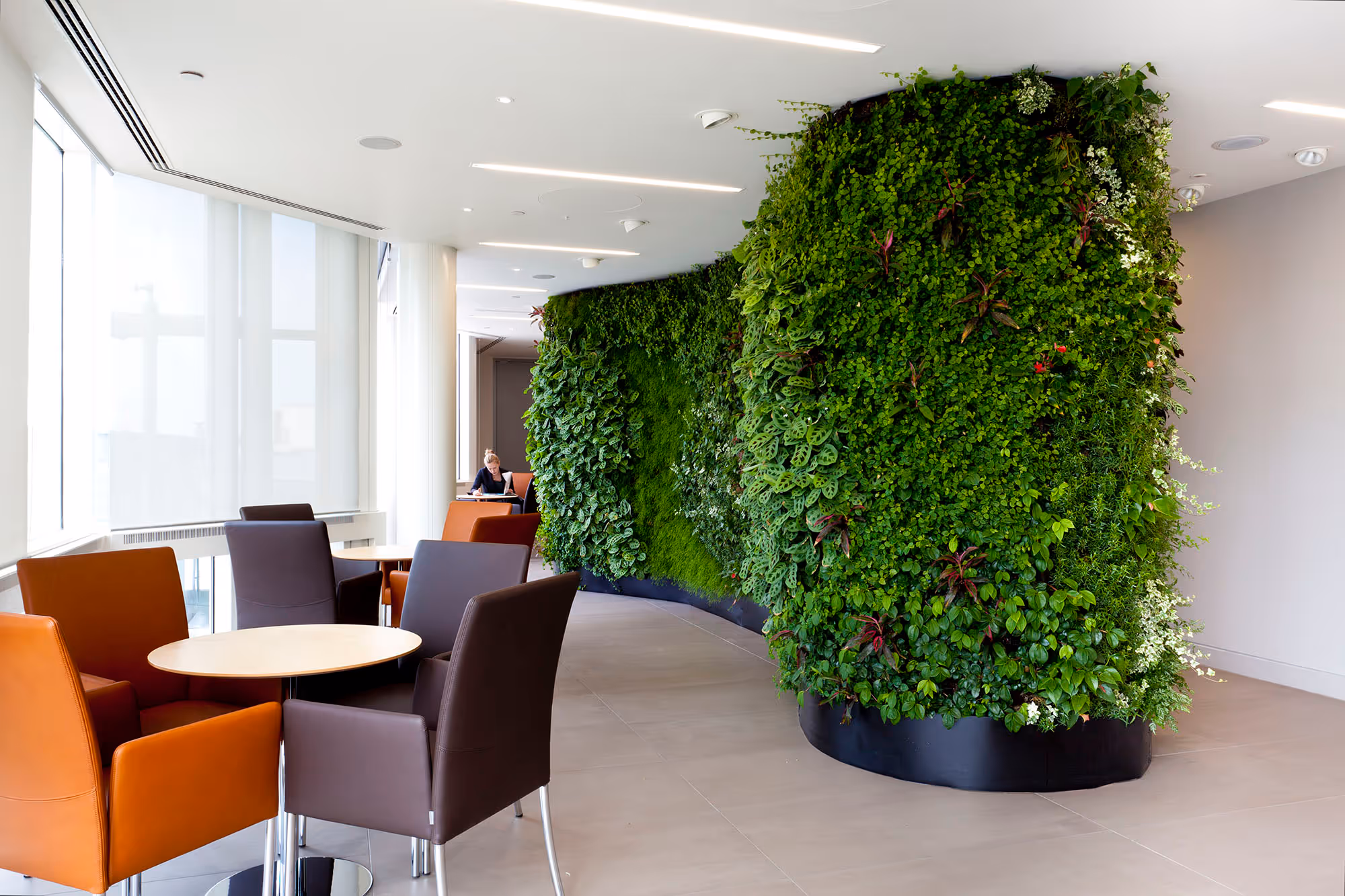 Interior of XL Catlin office, with a large living wall feature