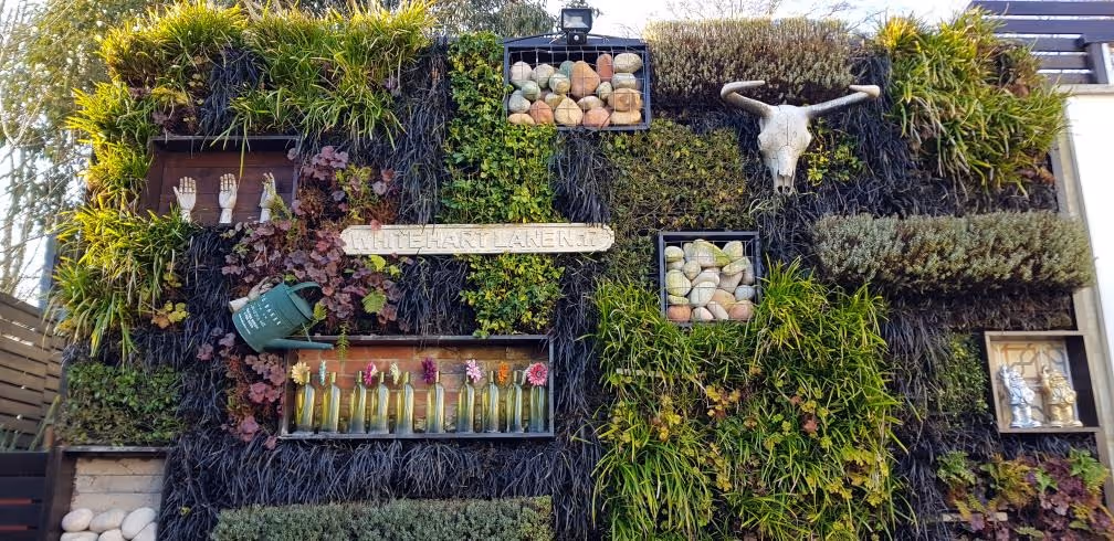 The plants change colour with the seasons, adding further interest and seasonality to the space.