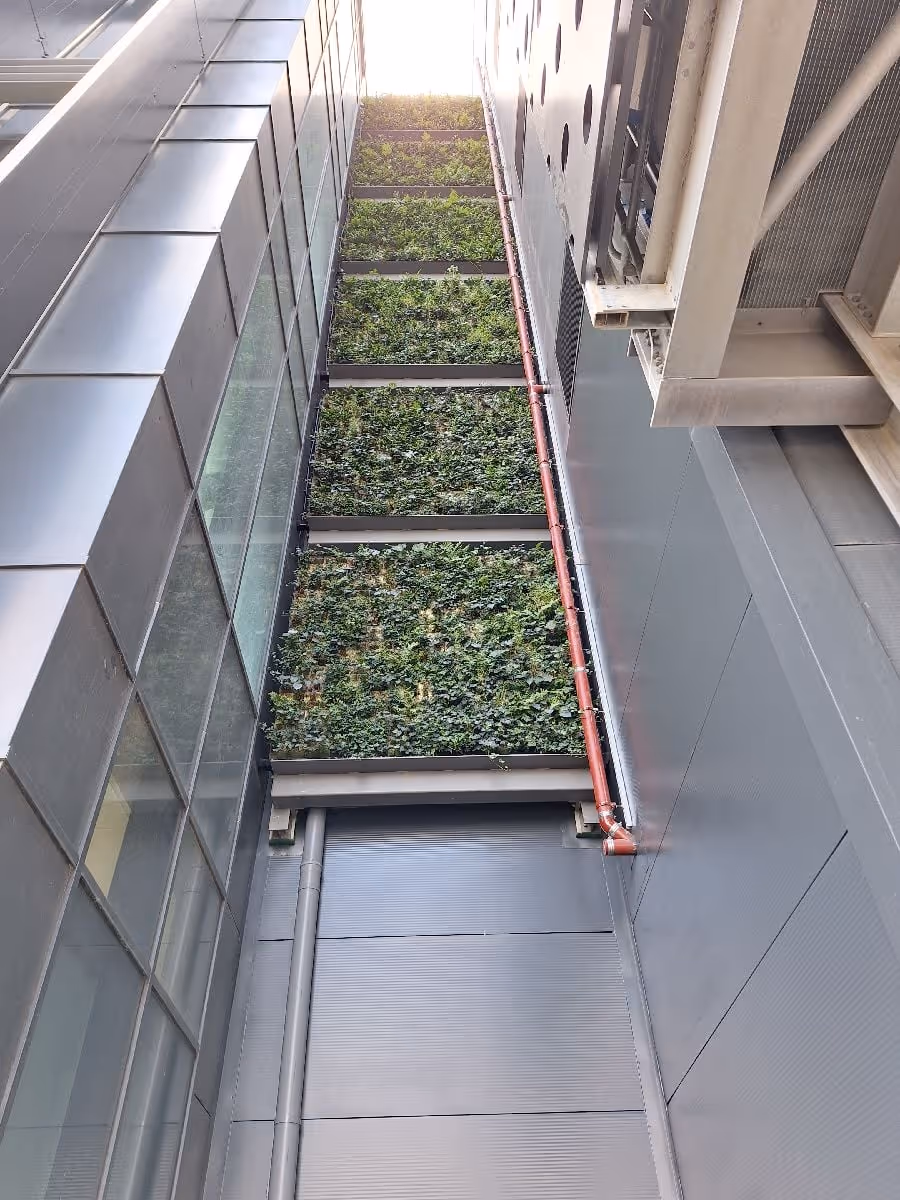 Aerial view of a Viritopia living wall on a data centre façade, showing a visible drainage pipe running vertically alongside the planted modules