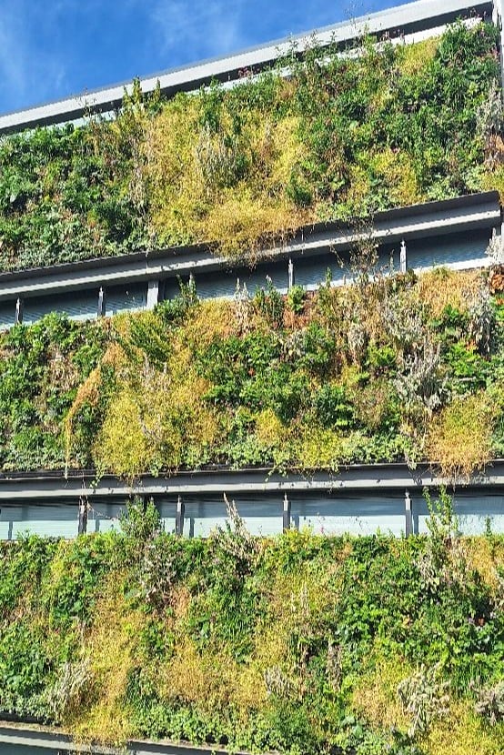 Close-up of Viritopia living wall planting with a mix of green foliage cascading across modular tiers on a data centre exterior