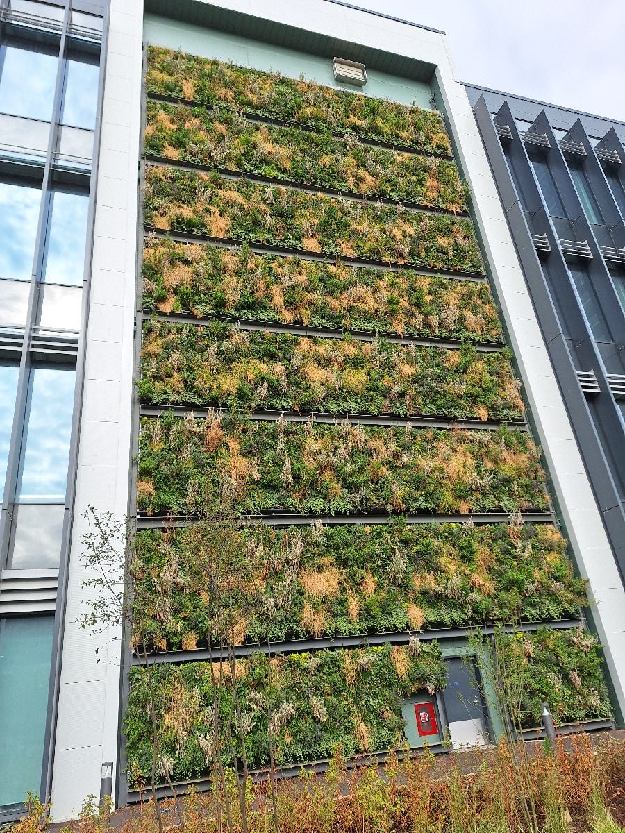Learn how Viritopia’s living wall system was adapted across a data centre campus — supporting unique façade designs on a tight construction timeline.