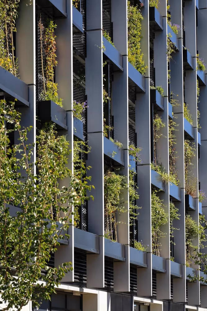 Exterior view of car park with living wall wires and planters on the side to make a green wall