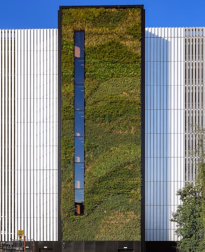 Ancoats Mobility Hub green wall in Manchester, UK using Viritopia’s modular living wall system