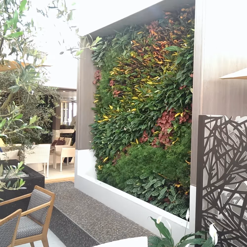 Square living wall on Crysal Serenity