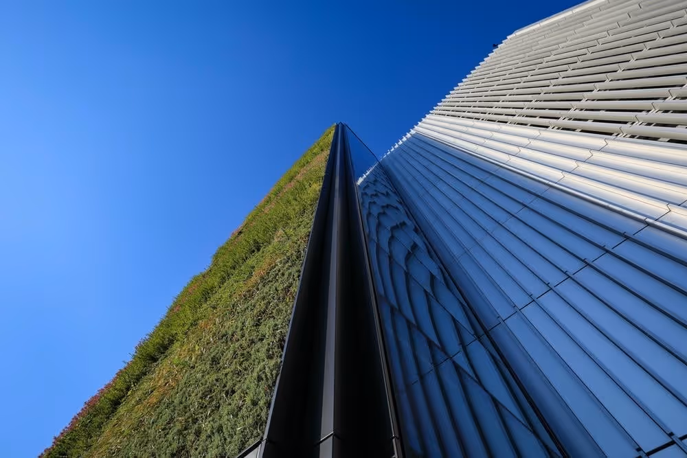 Exterior living wall on Ancoats Mobility Hub from the base looking up at the living wall towards the sky