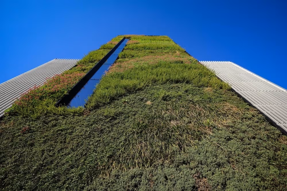 Exterior living wall on Ancoats Mobility Hub showing the modular living wall system from the base upwards