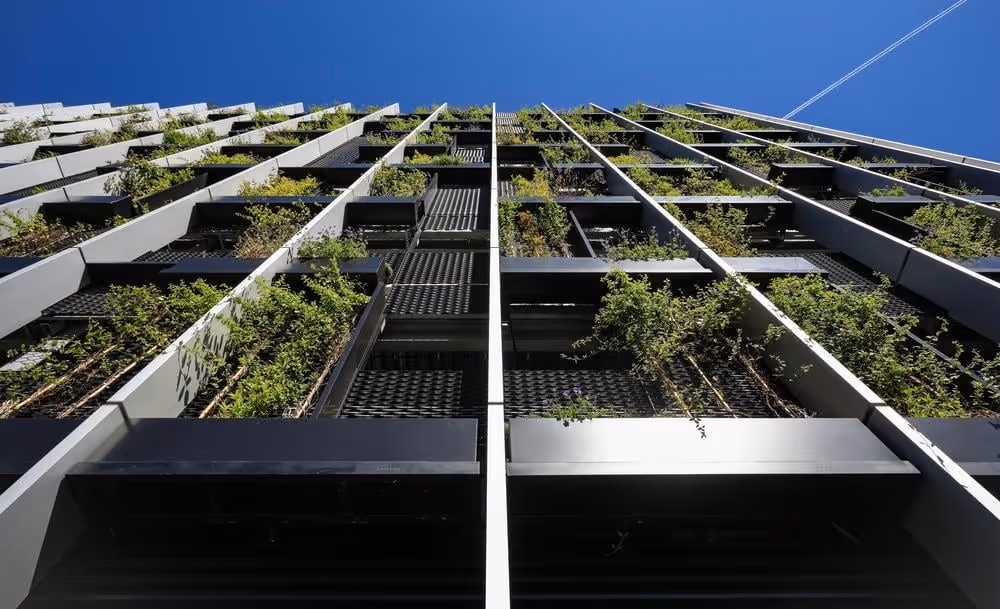 Exterior living wall on Ancoats Mobility Hub living wall constructed with planters and climbers