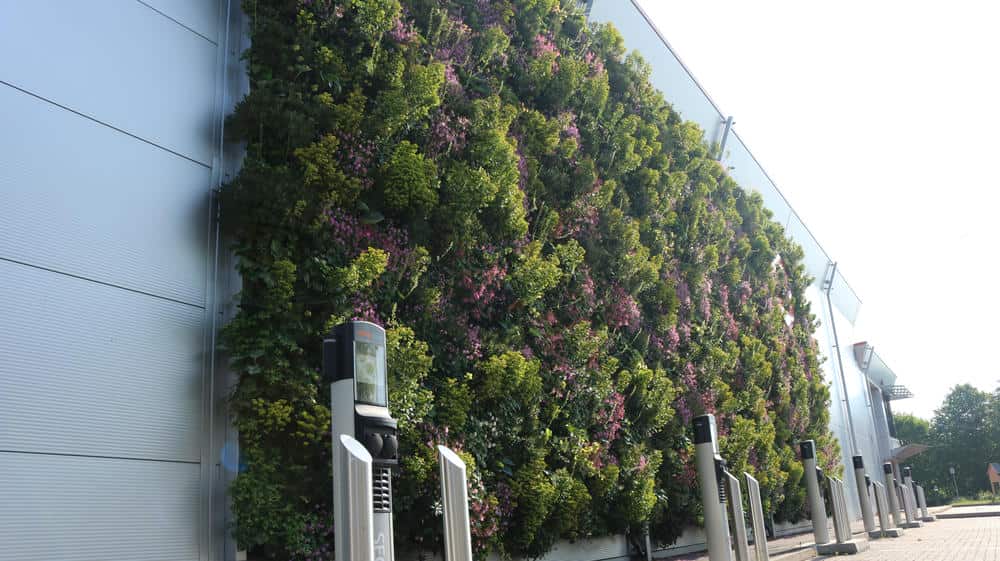 biodiversity with Viritopa modular system