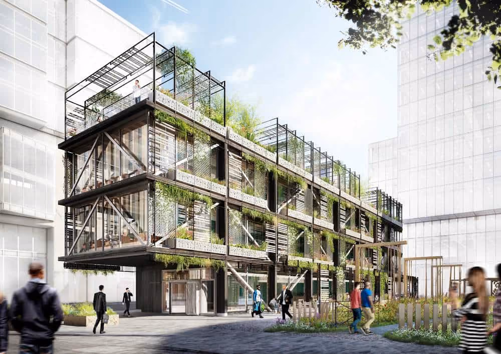 Render of Hardman The Ivy Living Wall