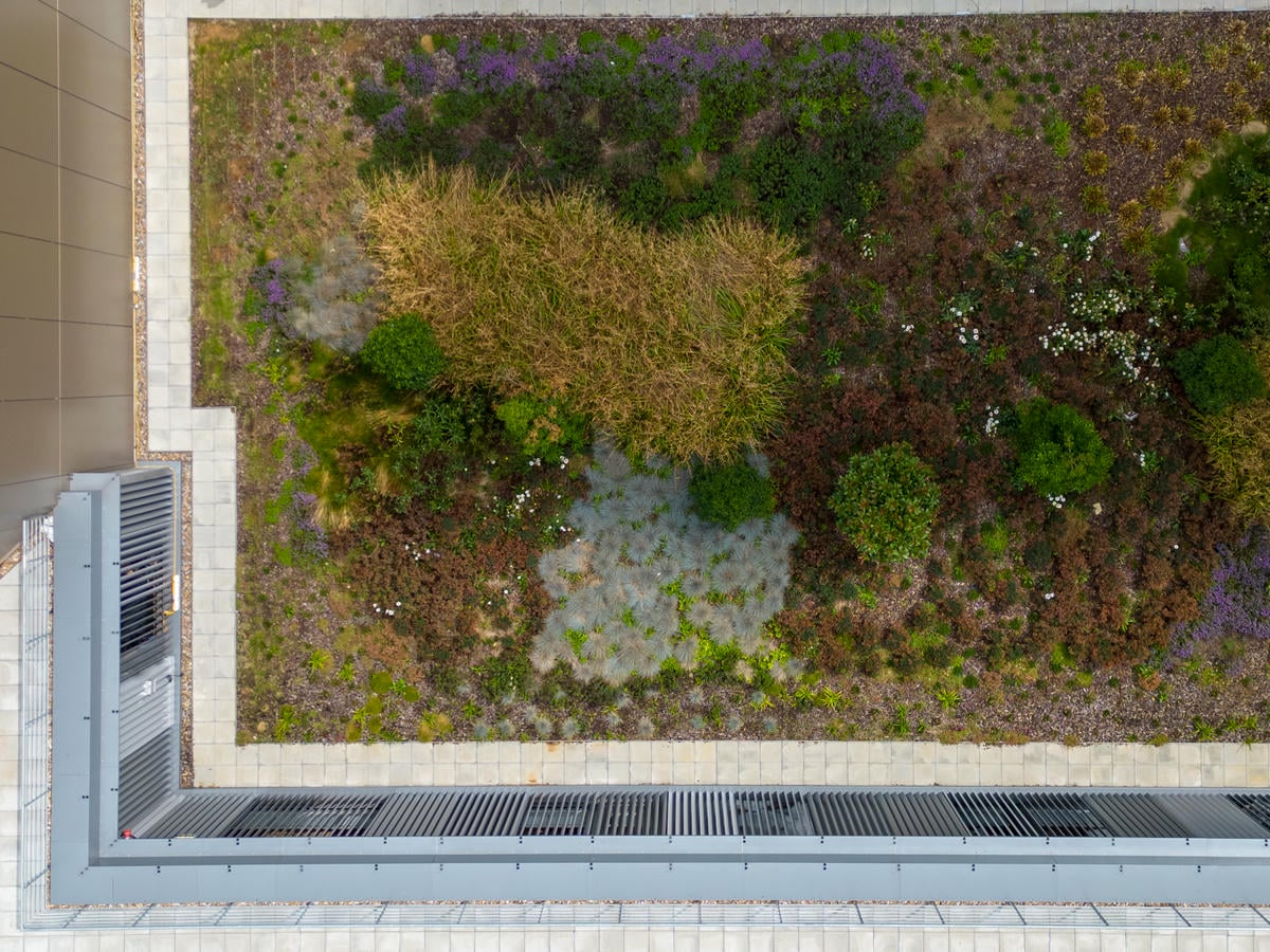 Close up of exterior living wall on Victoria Way Car Park