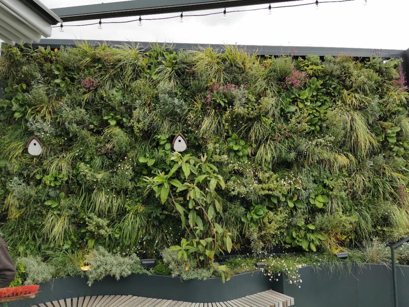 Lush living wall used as a water management feature, with diverse green plants, birdhouses, and pink flowers