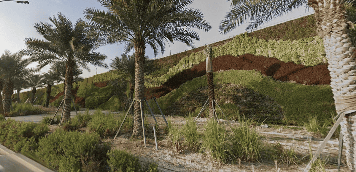 Khalifa Avenue living wall planting design