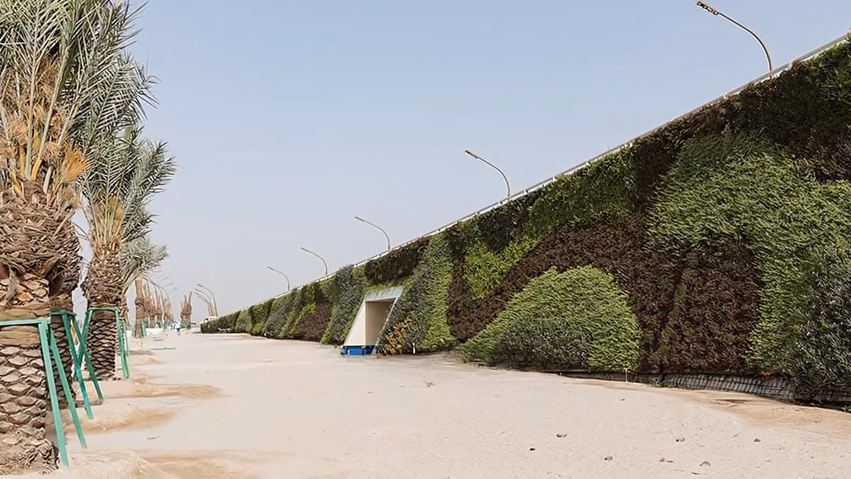 Khalifa Avenue living wall showing curvy patterns through the planting design