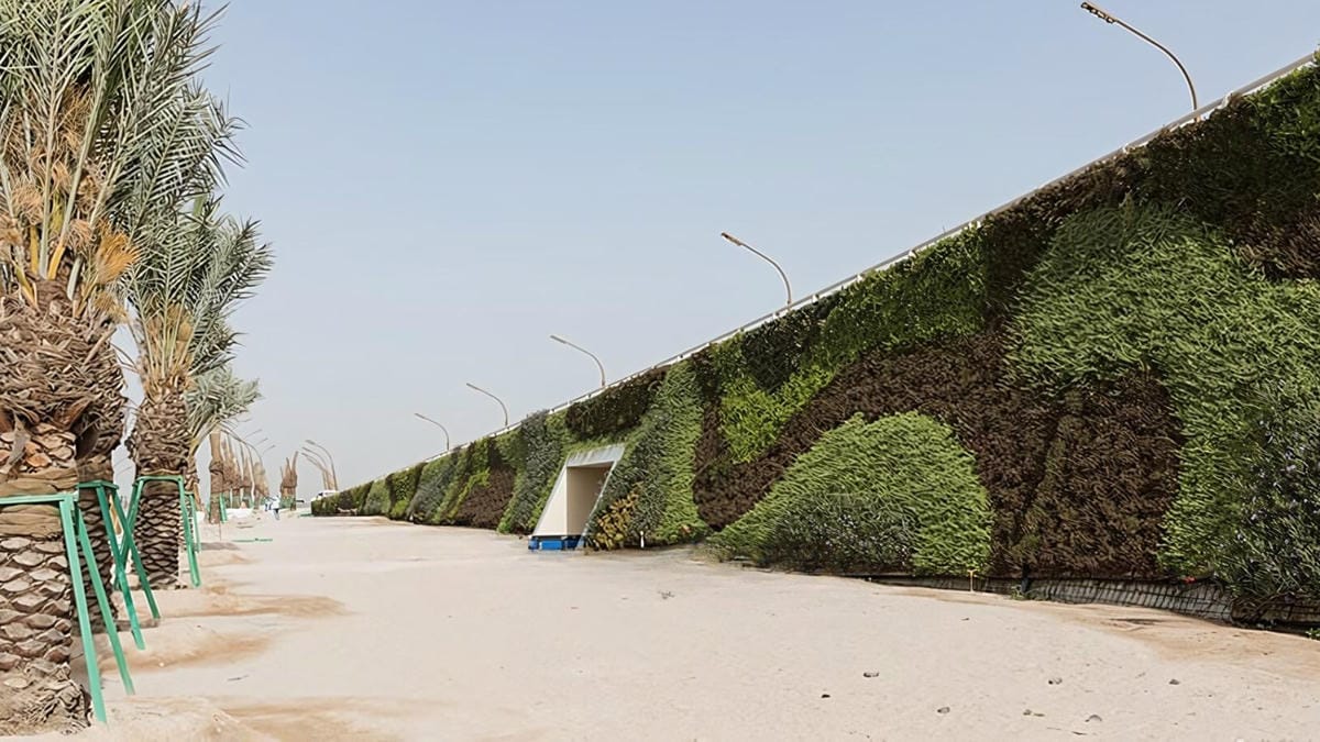 Khalifa Avenue living wall showing curvy patterns through the planting design