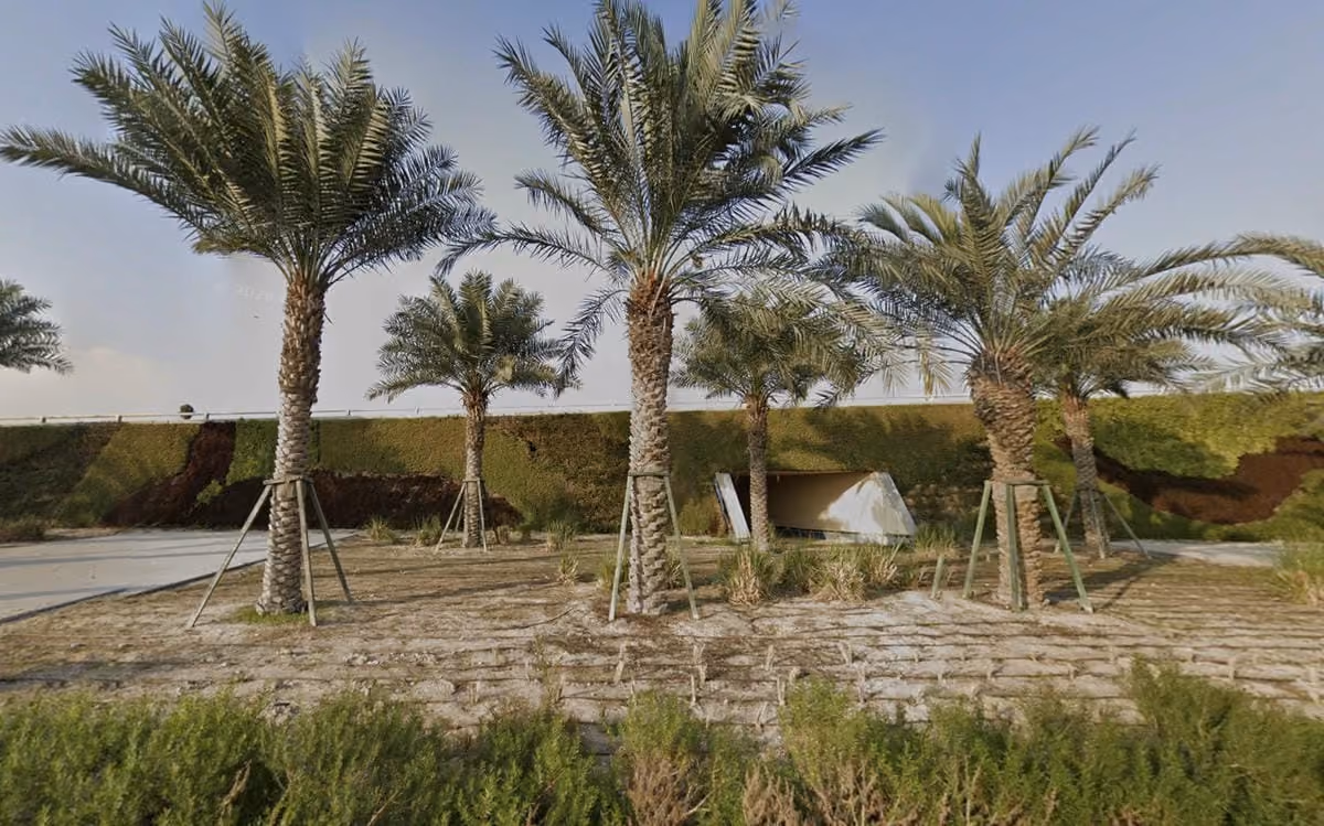 Street view of Khalifa Avenue living wall 