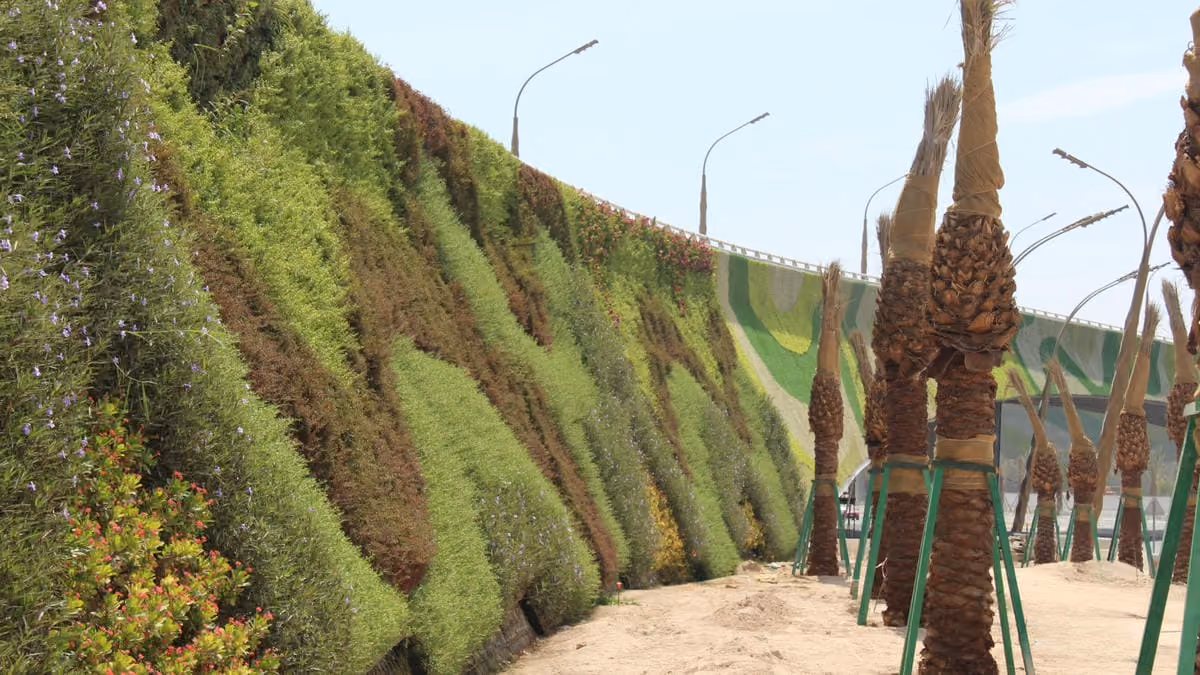 View down the very long Khalifa Avenue living wall showing palm trees alongside it