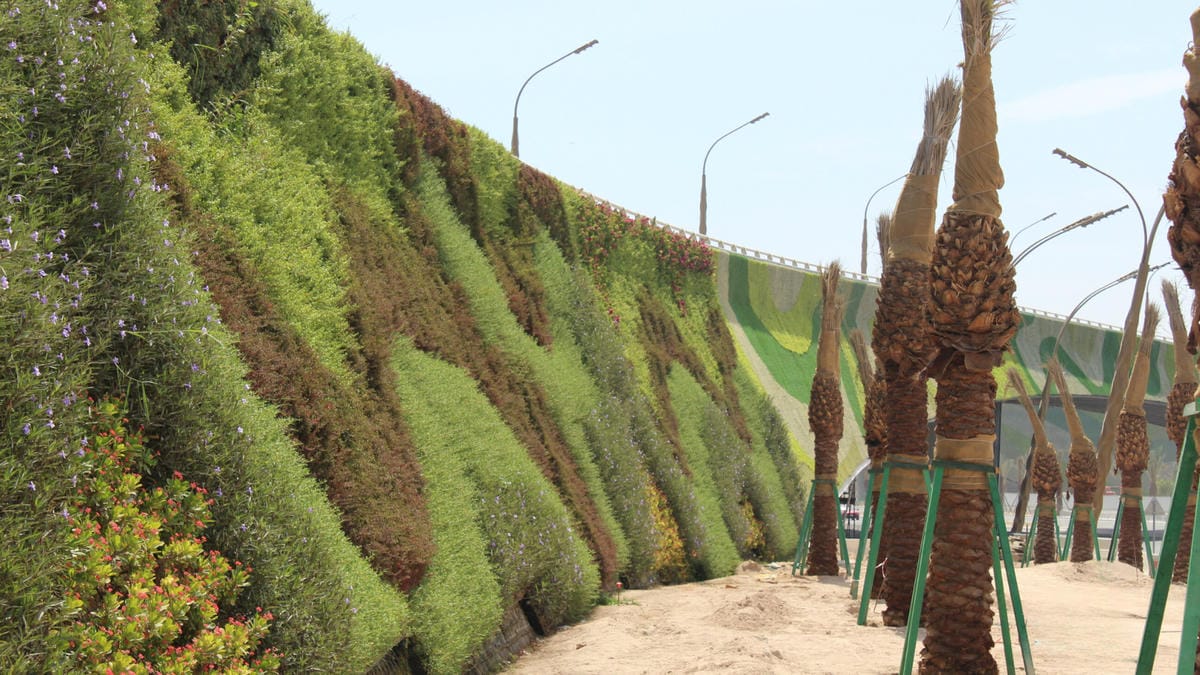 View down the very long Khalifa Avenue living wall showing palm trees alongside it