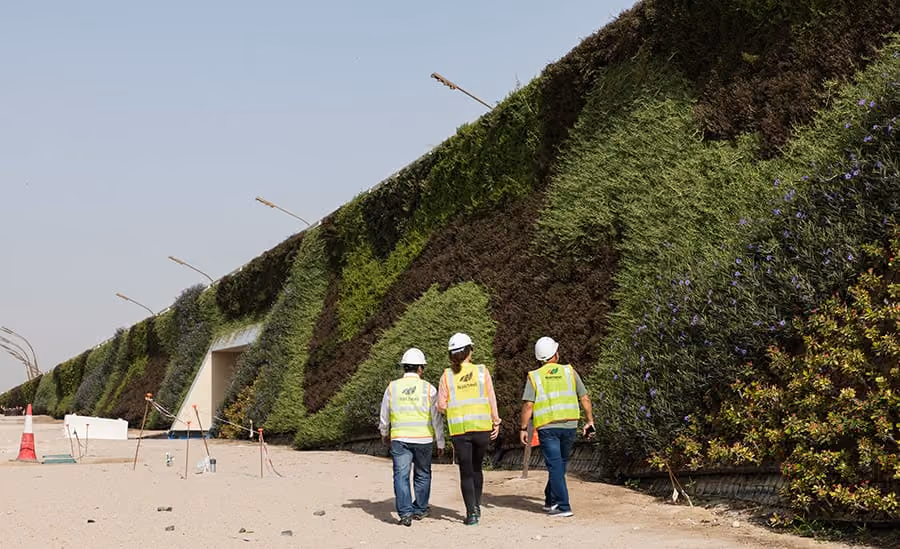 Viritopia team wearing hi-vis jackets walking by living wall in Khalifa Avenue