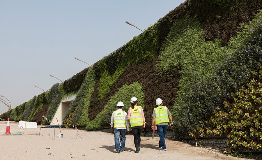 Viritopia team wearing hi-vis jackets walking by living wall in Khalifa Avenue
