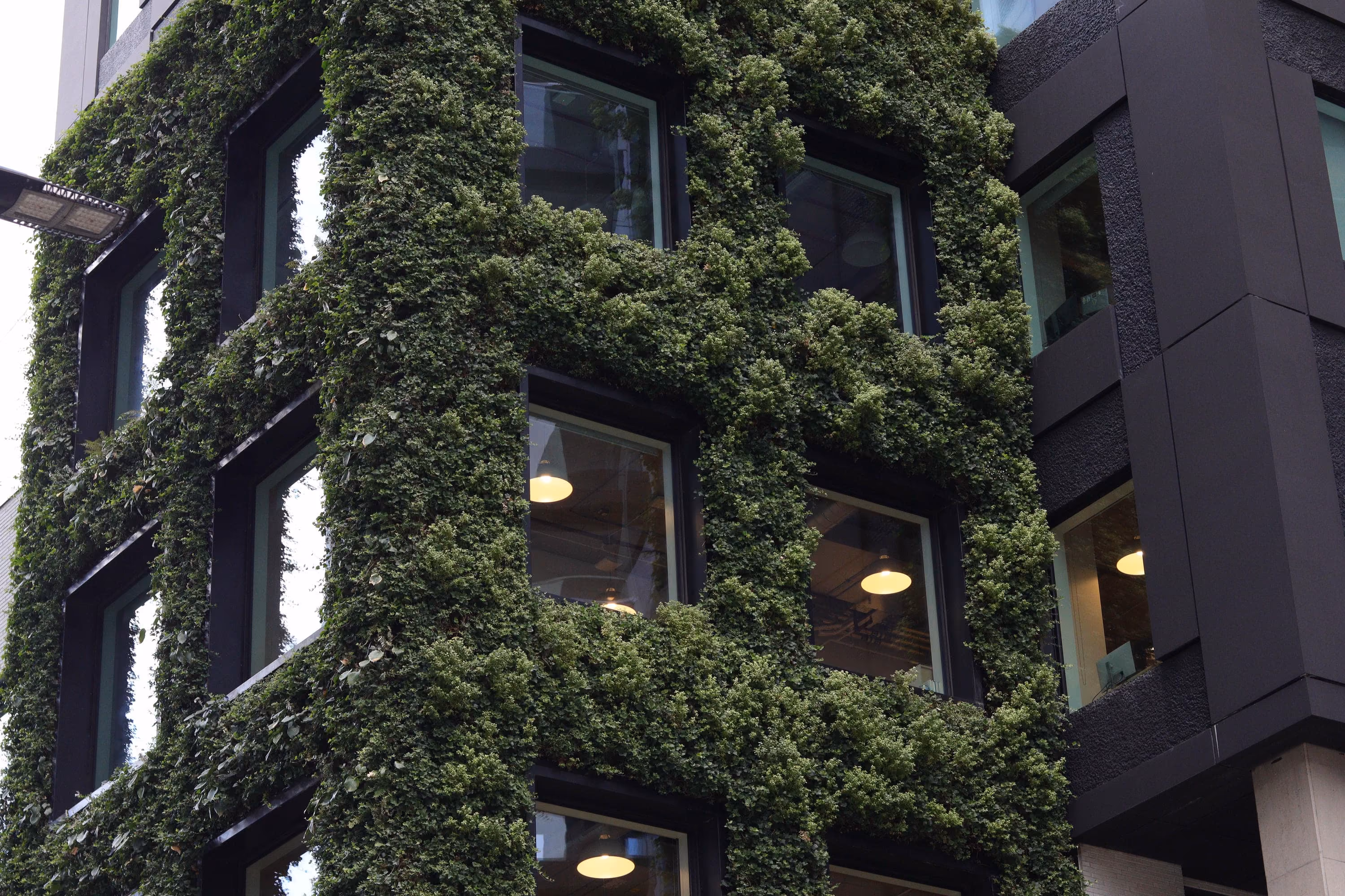 Close up of 145 City Road exterior living wall covering the building