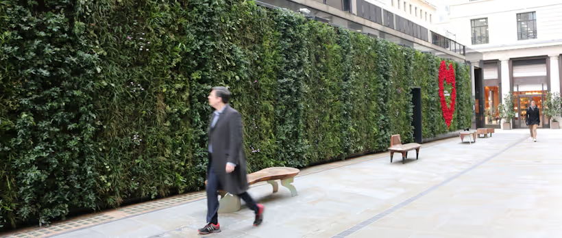 Living green wall with pedestrian walking by an urban green space
