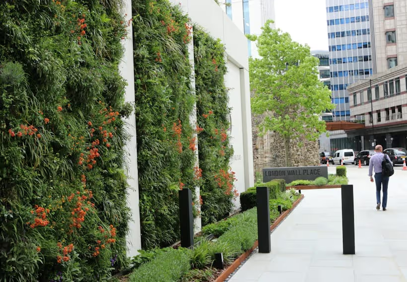 A flowering living wall at London Wall Place acts as a natural corridor for pollinators and insects