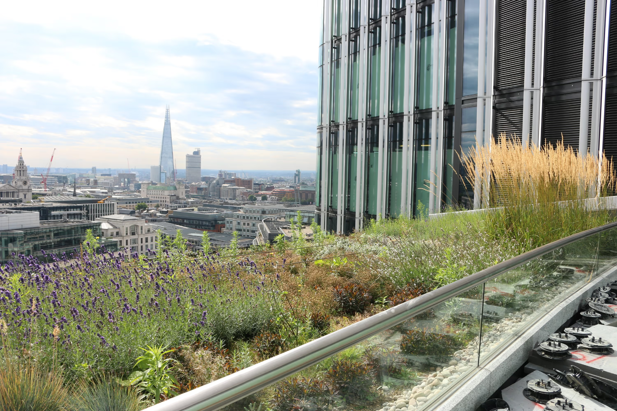 Living roof with pollinator planting at 1 New Street Square, London