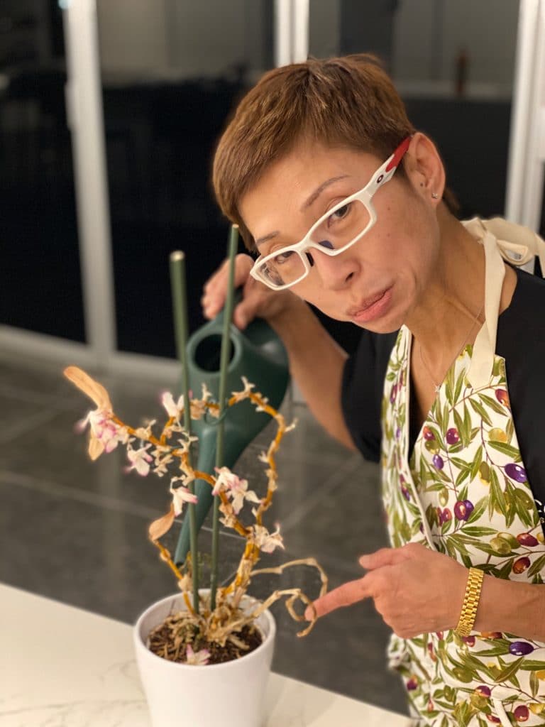 CC Kat, Covid 19 and gardening