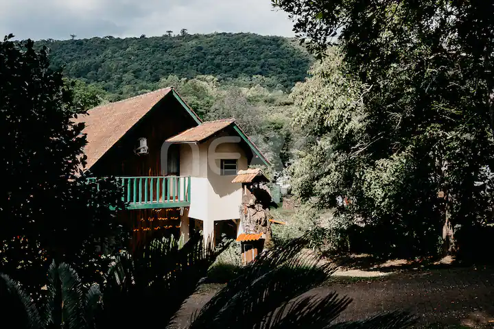 https-www-airbnb-com-br-rooms-1571313138022312401