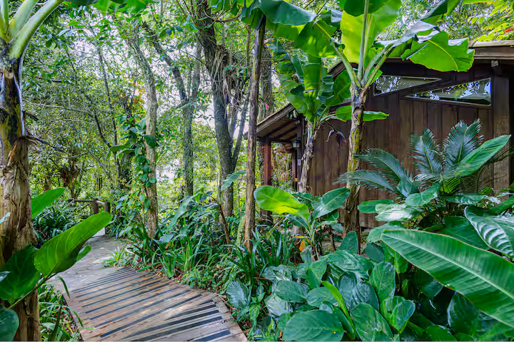 chale-3-da-mata---praia-do-rosa-natureza-conforto