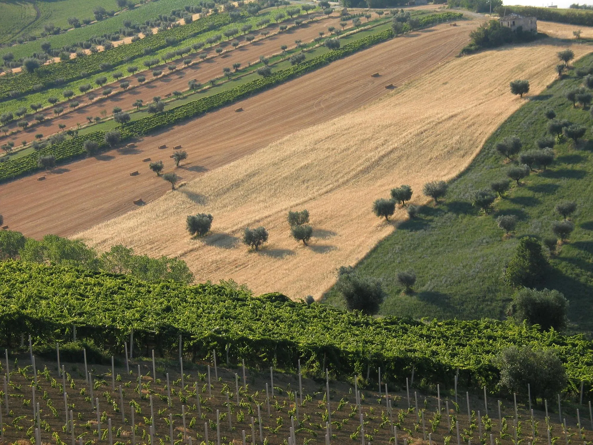 Immagine rappresenta delle tipiche strutture architettoniche tipiche delle Marche.