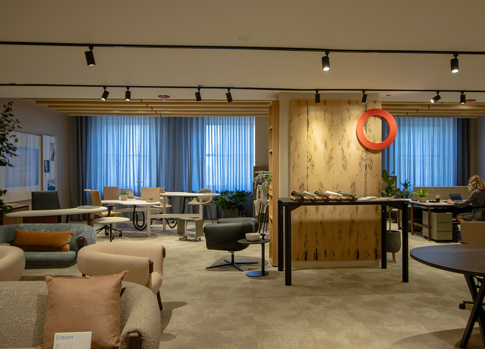 Bulo Showroom