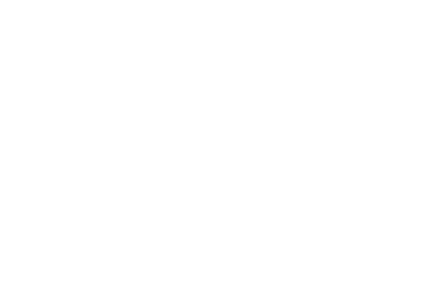 Stylized white parrot with a fan-shaped crest next to bold uppercase letters 'LIA' on a black background.