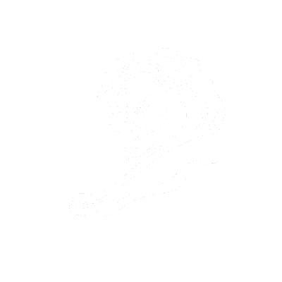 Stylized white lion with flowing mane on black background.