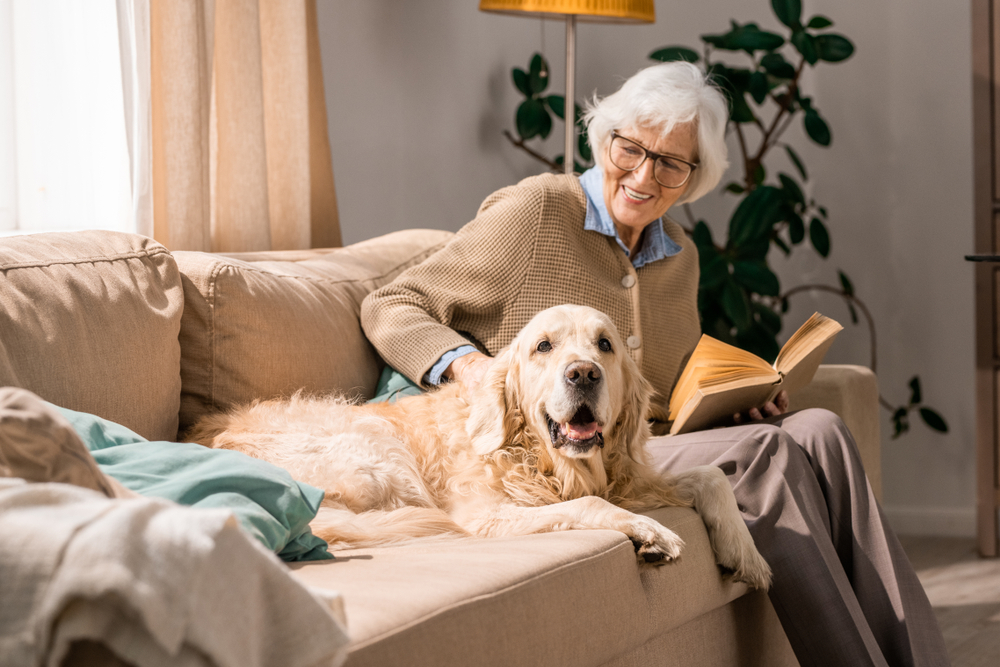What is Aging in Place?