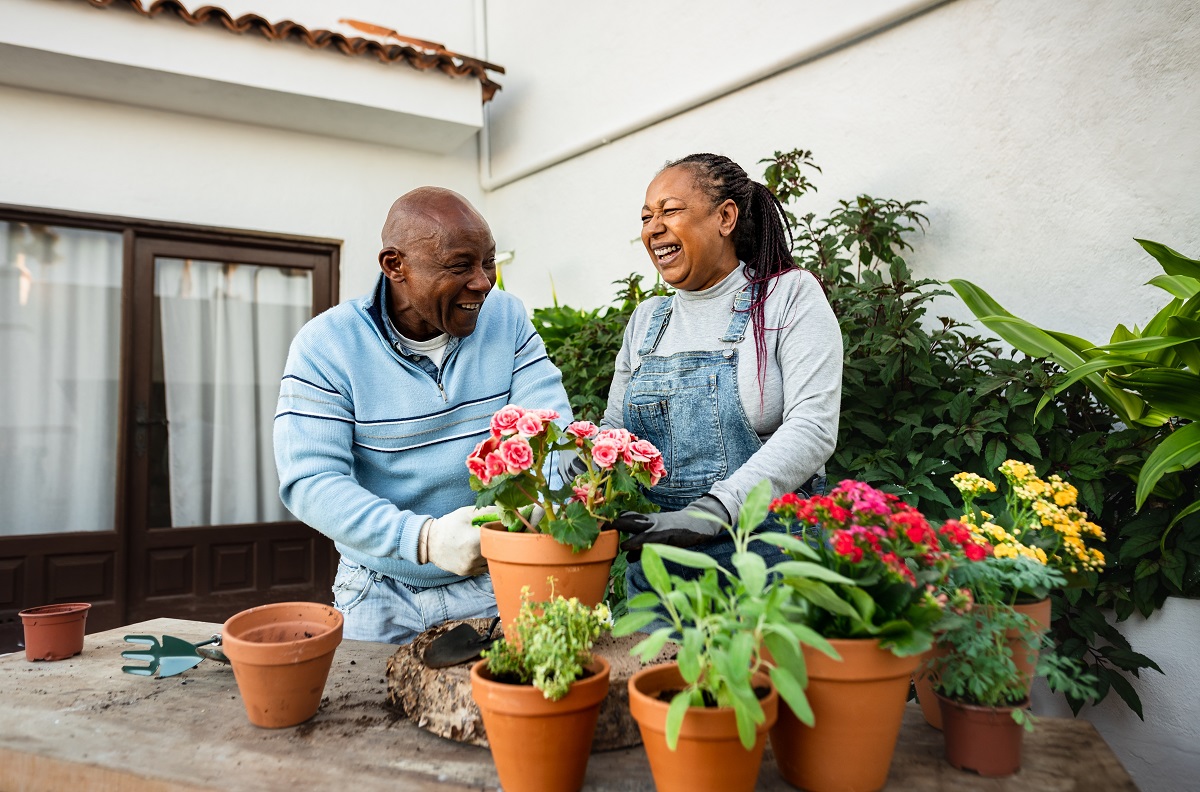 Alternatives to Reverse Mortgages: Exploring Options