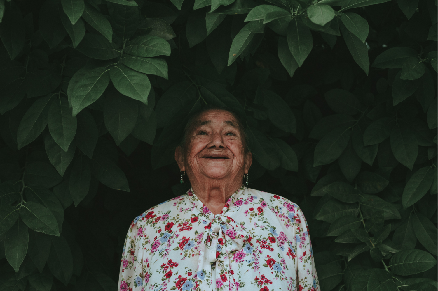 An elderly woman surrounded by green leaves