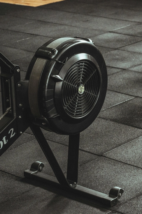 Header Image