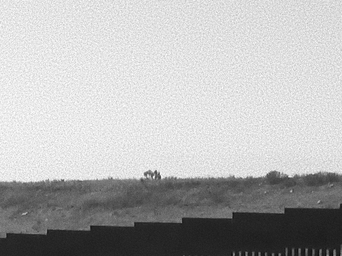 Nemoani Acevedo Vital