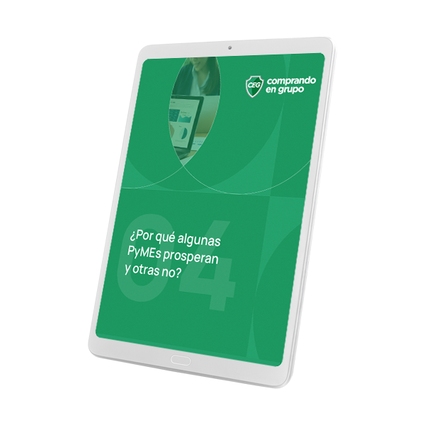 ¿Por qué algunas PyMEs prosperan y otras no?