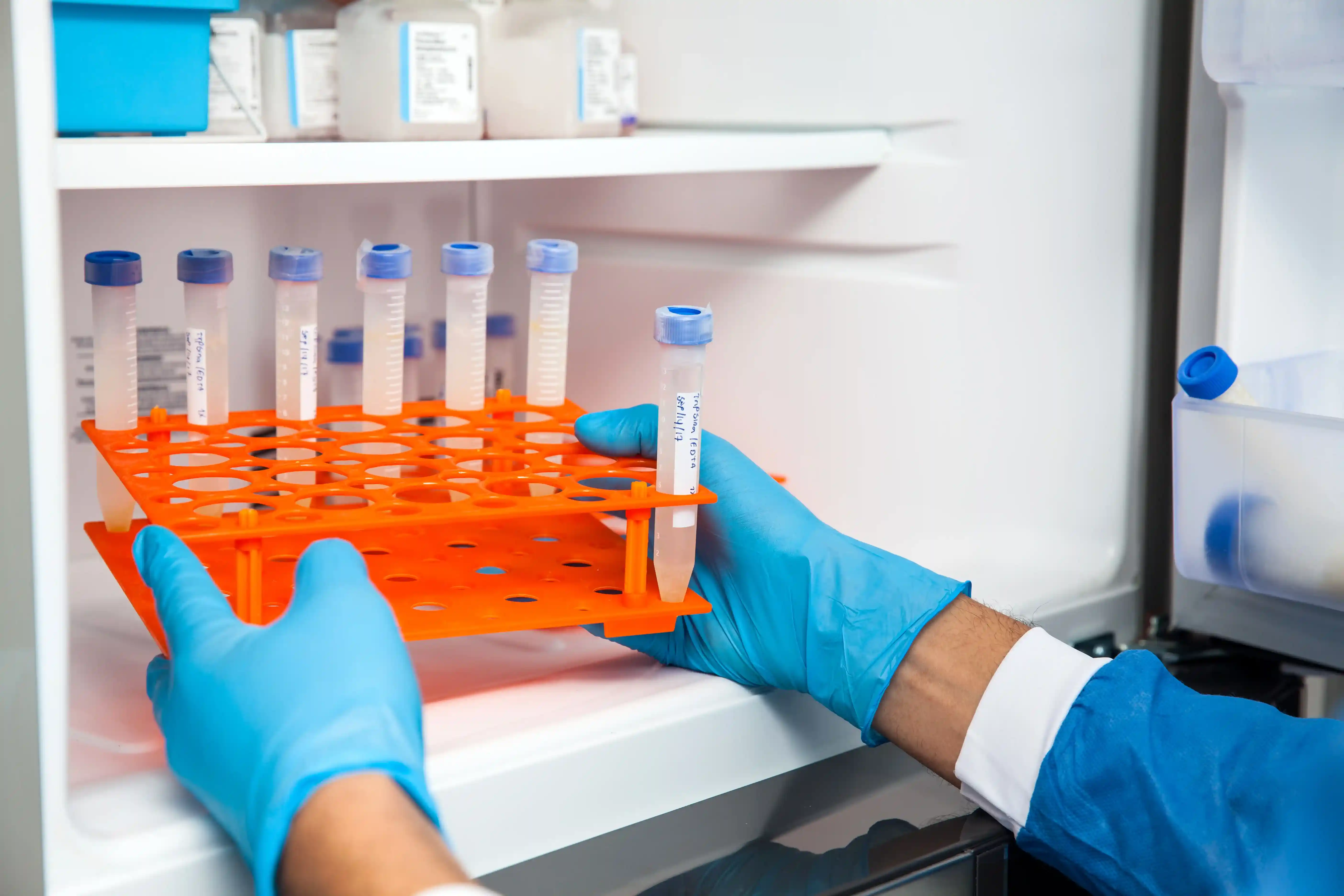 Gloved hands placing a rack of labeled test tubes into a lab freezer for sample storage.
